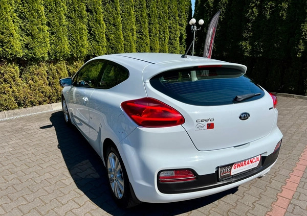 Kia Ceed cena 25900 przebieg: 216281, rok produkcji 2013 z Recz małe 704